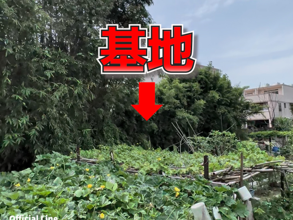 Flat Agricultural Land for Sale Adjacent to Yongan Rd in Bajiao Section, Taoyuan District!
